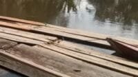 Masyarakat Meminta APH Tindak Ilegal Logging di Di Wilayah Kabupaten Muratara