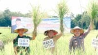 Panen Raya Padi Serentak di Air Satan Musi Rawas