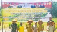 Program Tanam Padi Serentak Yang di Hadiri Langsung Bupati Dan Wakil Bupati