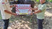 Melalui Kabag Kesra Bupati Muratara Serahkan Hewan Qurban untuk Warga