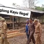 Pabrik Kayu Tanpa Izin di Muratara Disidak Petugas