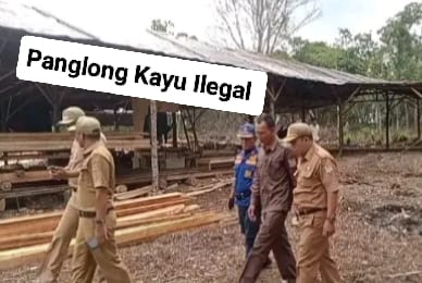 Pabrik Kayu Tanpa Izin di Muratara Disidak Petugas