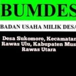 Anggaran BumDes Ratusan Juta, PemDes Sukomoro Diduga Lakukan Rekayasa Laporan