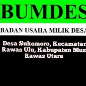 Anggaran BumDes Ratusan Juta, PemDes Sukomoro Diduga Lakukan Rekayasa Laporan