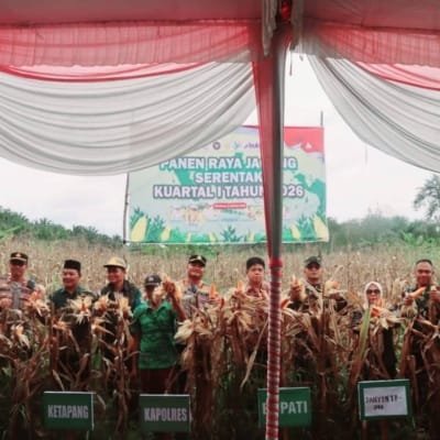 Panen Raya Jagung di Muratara Dorong Kesejahteraan Petani