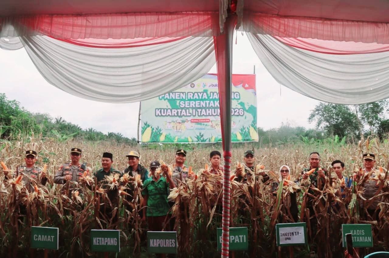 Panen Raya Jagung di Muratara Dorong Kesejahteraan Petani