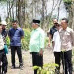 Bupati Lahat Bursah Zarnubi Bersama Jajaran PT. PLN Melakukan Peninjauan ke Situs Megalitik Untuk di Pasang Jaringan Listrik